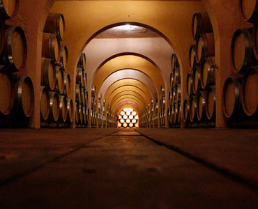 Visita bodegas de Villena (Alicante)